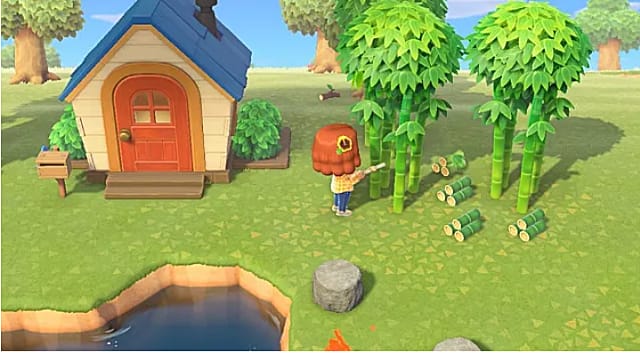 Où trouver du bambou Animal Crossing ?