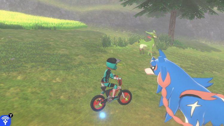 Une capture d'écran de la toundra de la couronne montrant l'emplacement du Pokémon légendaire Virizon