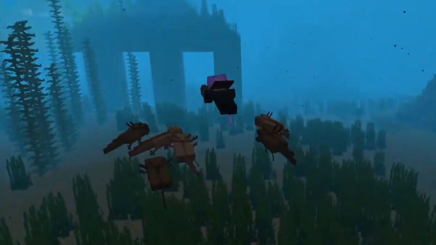 Armée d'Axolotl dans Minecraft