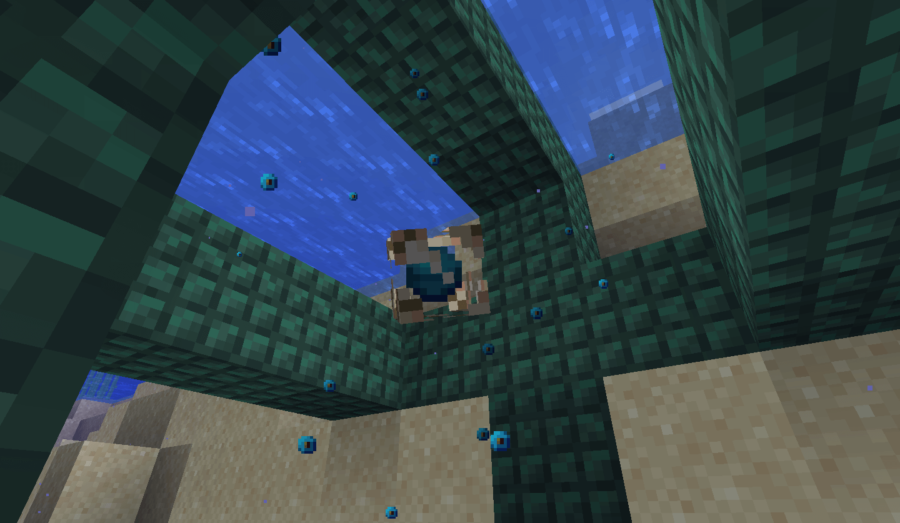 Un conduit Minecraft activé.