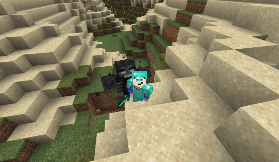 Barish devant un Wither.