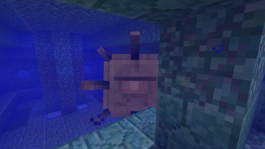 Une image d'un ancien gardien de Minecraft.