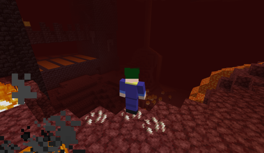 Barish scrutant les déserts du Nether