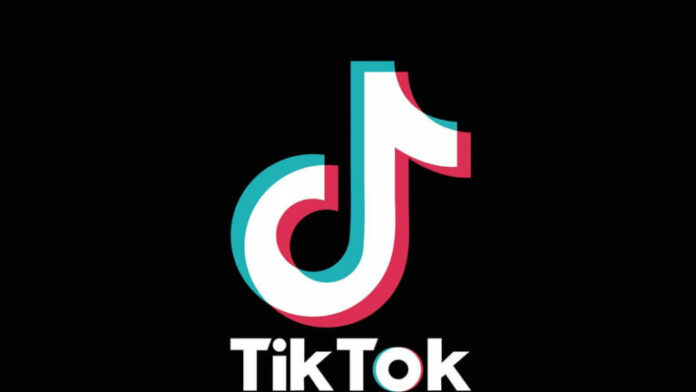 Meilleurs codes d'identification de musique Roblox TikTok

