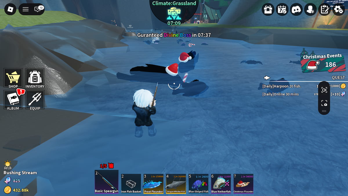 Poisson de Noël en pêche sous-marine