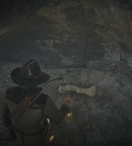 Guide des emplacements des os de dinosaures de Red Dead Redemption 2 39