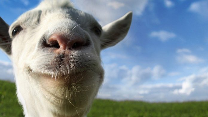 Goat Simulator - Pas Baaad mais pas la chèvre non plus
