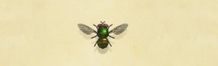 Animal Crossing New Horizons - Comment attraper une mouche
