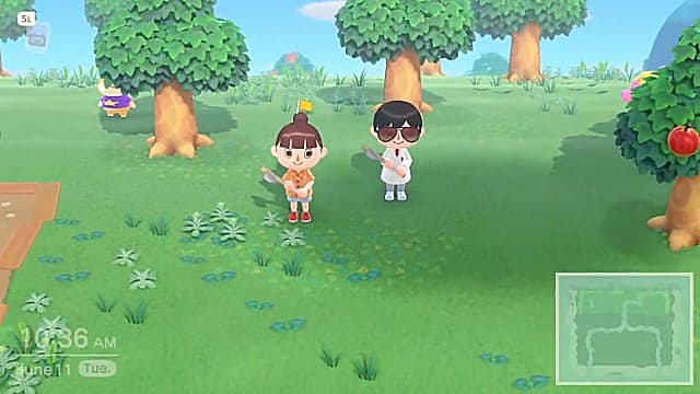 La coopération dans Animal Crossing New Horizons est simple, mais tout le monde doit suivre le leader.