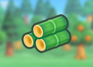 New Horizons Bamboo Guide - Baguette, pousses et recettes en bambou!
