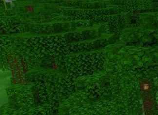 Minecraft Jungle Seeds (Bedrock & Java)
