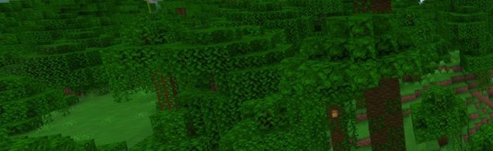 Minecraft Jungle Seeds (Bedrock & Java)
