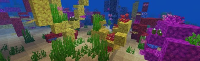 Graines de récifs coralliens Minecraft
