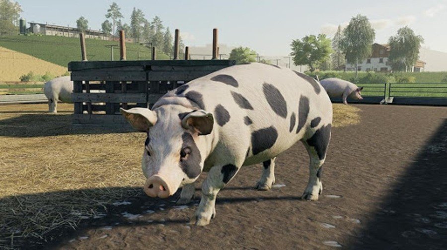Farming Simulator 19 PS4 PlayStation 4 1