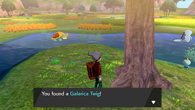 Vous pouvez trouver des brindilles de Galarica sous des arbres adultes sur l'île d'Armour.