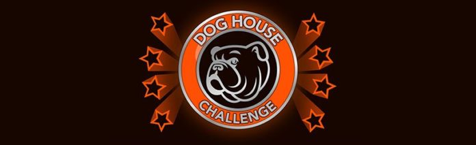 BitLife Dog House Challenge Guide