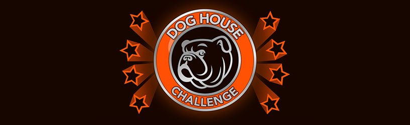 BitLife Dog House Challenge Guide