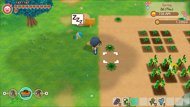 Un joueur regarde un terrain sale dans son jardin avant de planter des graines. 