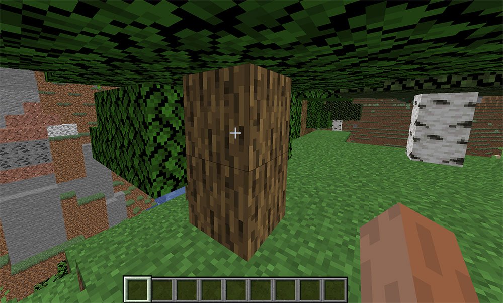 Exemple de tronc d'arbre