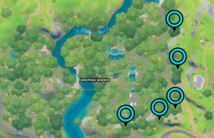 Emplacements des anneaux Fortnite Weeping Woods
