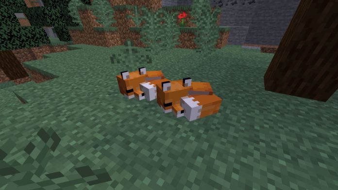 Foxes sleeping in Minecraft