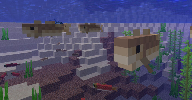Morue et saumon nageant dans l'eau à Minecraft