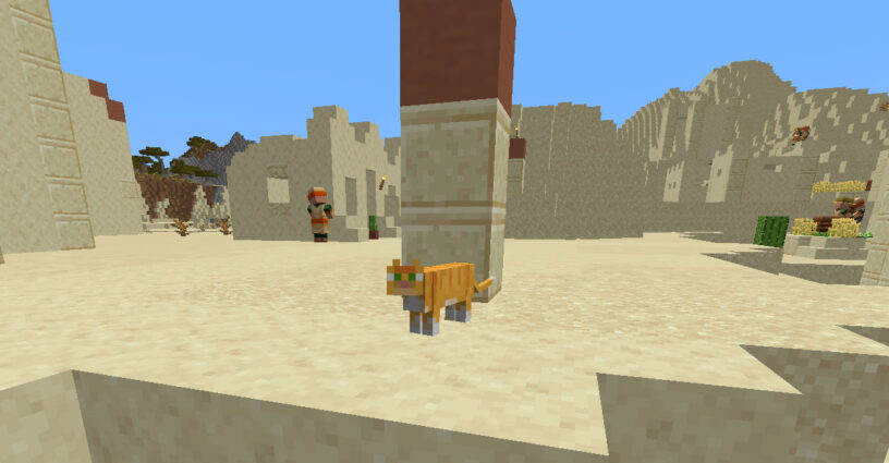 Chat debout dans un village du désert à Minecraft