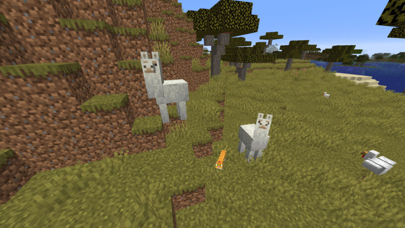 Lamas Minecraft dans un biome de savane