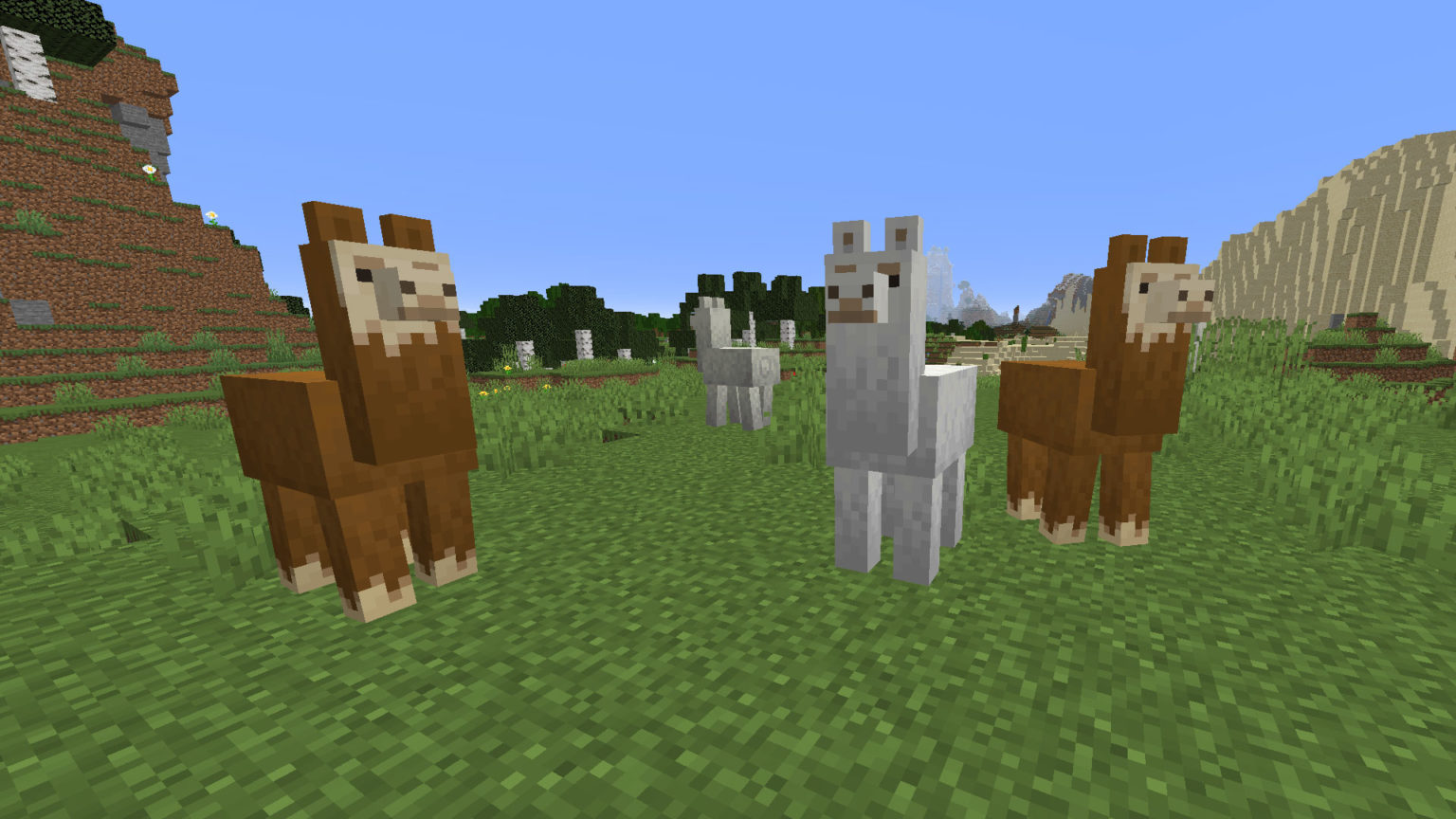 Comment apprivoiser un lama dans Minecraft