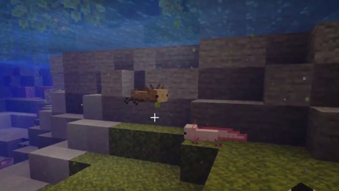 Minecraft Axolotl Mob - Tout ce que nous savons!
