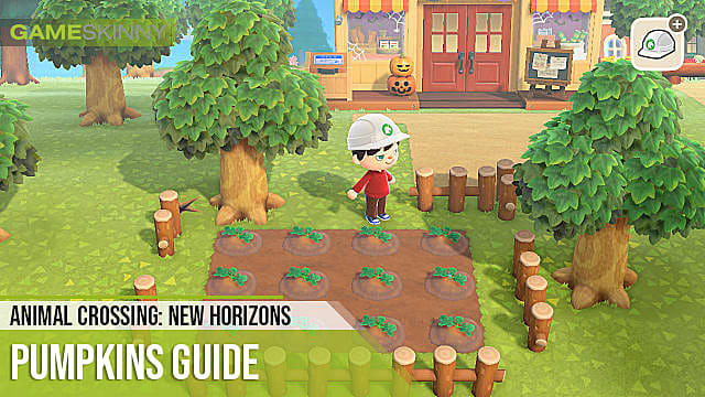 Animal Crossing: New Horizons: Comment obtenir et cultiver des citrouilles
