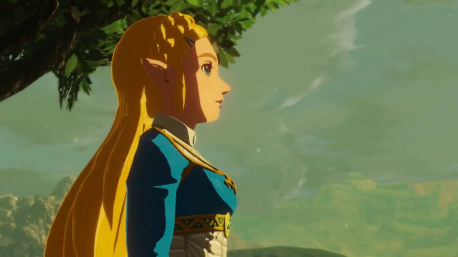 Zelda regarde au loin.
