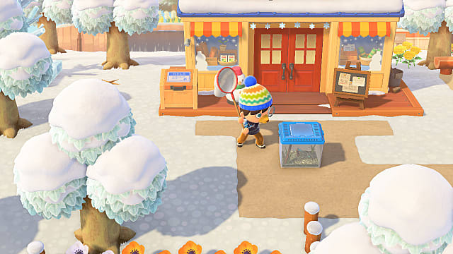 Animal Crossing: Liste des bugs de janvier de New Horizons
