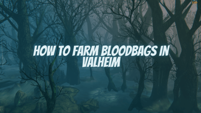 Comment cultiver des poches de sang à Valheim
