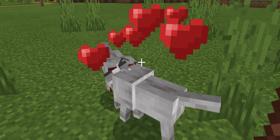 Loups se reproduisant à Minecraft.