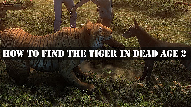 Comment trouver le tigre dans Dead Age 2
