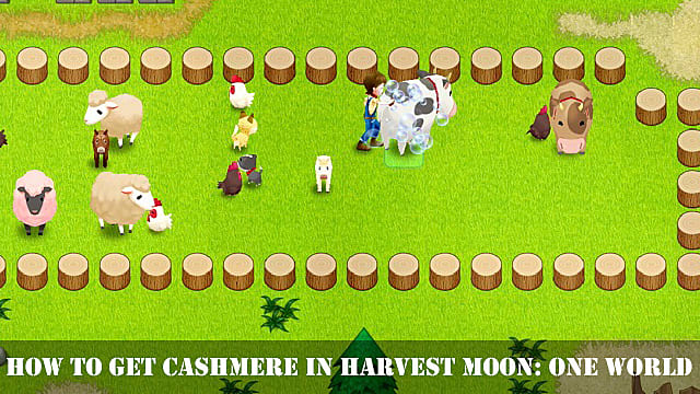 Harvest Moon: One World - Comment obtenir du cachemire
