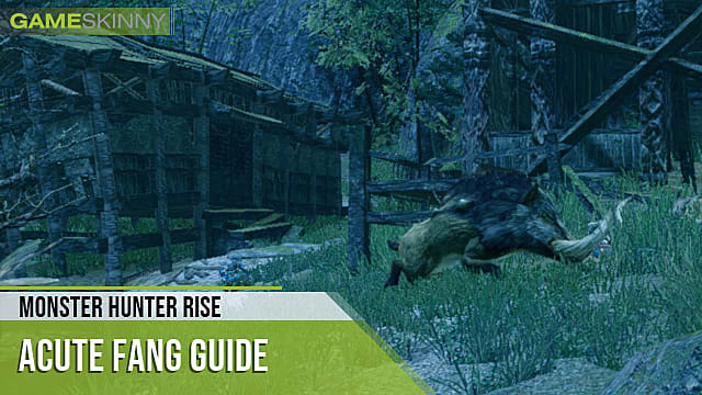 Monster Hunter Rise: Comment obtenir un croc aigu
