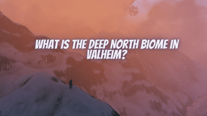 Tous les ennemis et ressources du biome du nord profond à Valheim
