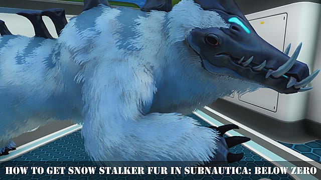 Comment obtenir de la fourrure de traqueur de neige dans Subnautica: en dessous de zéro

