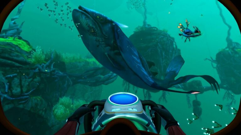 Comment voir les coordonnées dans Subnautica: sous zéro