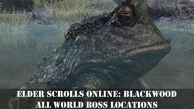 Elder Scrolls Online: Blackwood — Tous les emplacements de boss du monde
