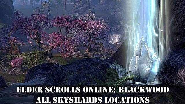 Tous les emplacements des éclats célestes dans Elder Scrolls Online: Blackwood
