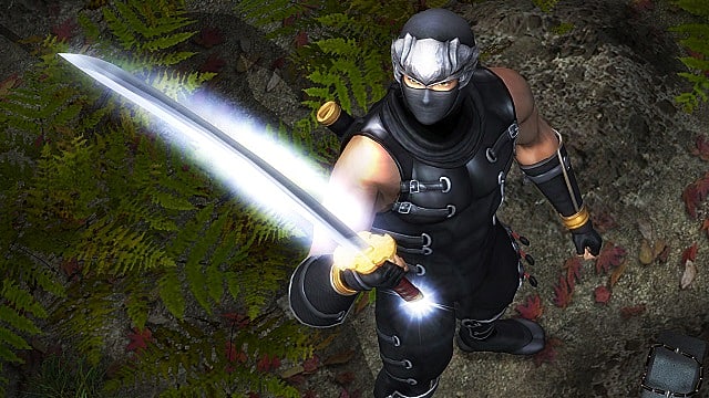 Revue de la collection Ninja Gaiden Master : combat intense, atterrissage bâclé
