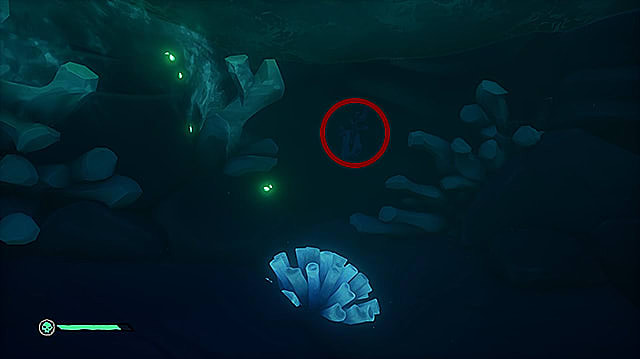 Un levier caché sous l'eau sombre près de plusieurs morceaux de corail.