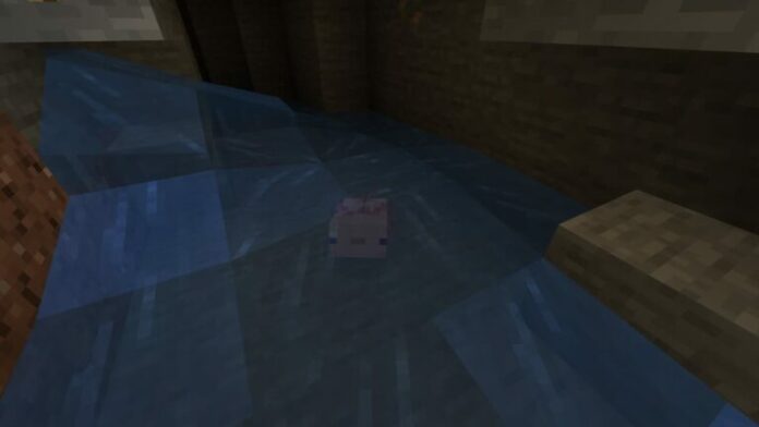 Comment apprivoiser un Axolotl dans Minecraft
