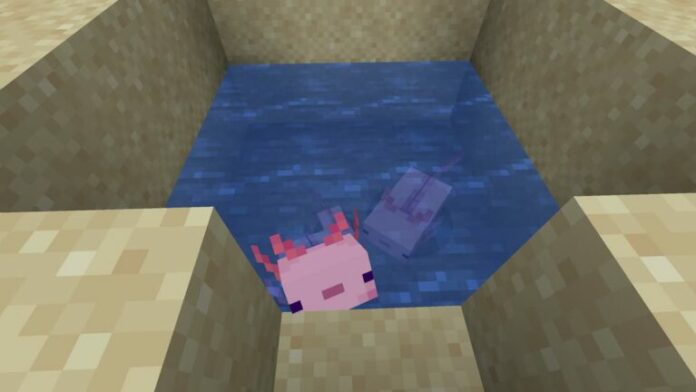 Comment élever un Axolotl dans Minecraft
