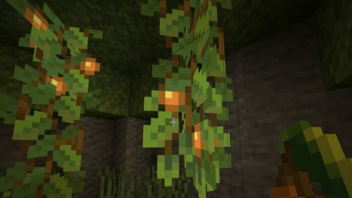 Comment faire pousser des baies lumineuses dans Minecraft
