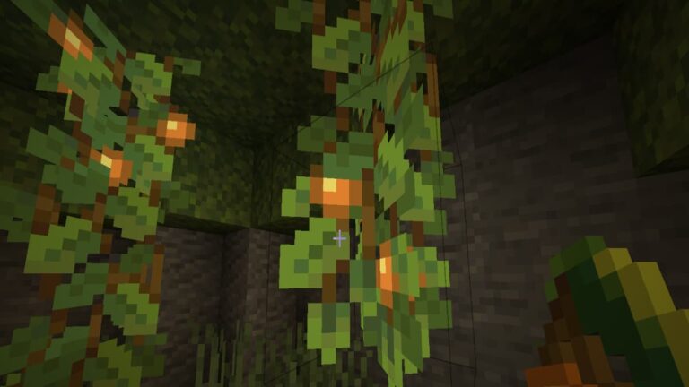 Comment faire pousser des baies lumineuses dans Minecraft