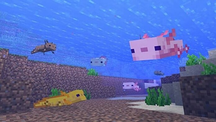 minecraft axolotl colors